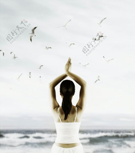瑜伽有氧运动运动海边海滩海鸟女性女人瑜伽运动海报广告图片