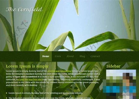 绿色植物背景html5模板