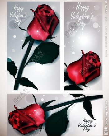 玫瑰花设计图片