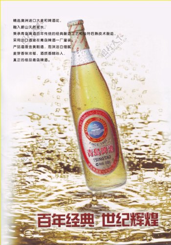青岛啤酒白金系列图片