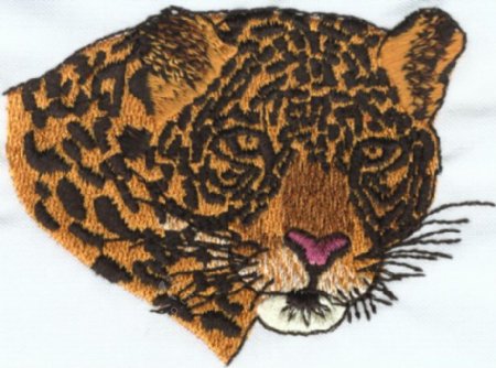 绣花动物豹子色彩橙色免费素材