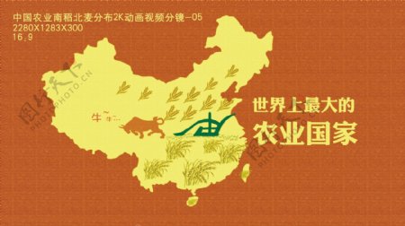 中国农业南稻北麦分布2K动画视频分镜05