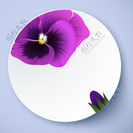 盘子花卉图案