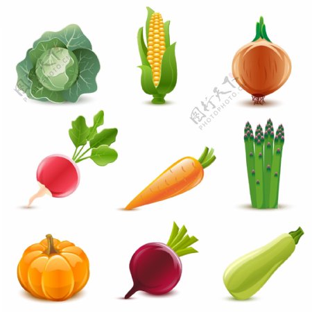 新鲜蔬菜矢量素材下载