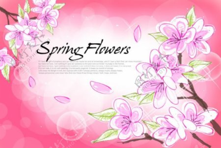 粉红背景花朵图