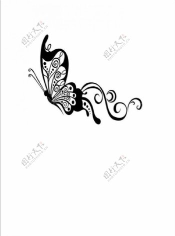 蝴蝶花稿图片