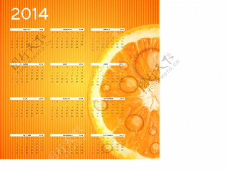 2014橙子年历背景矢量素材
