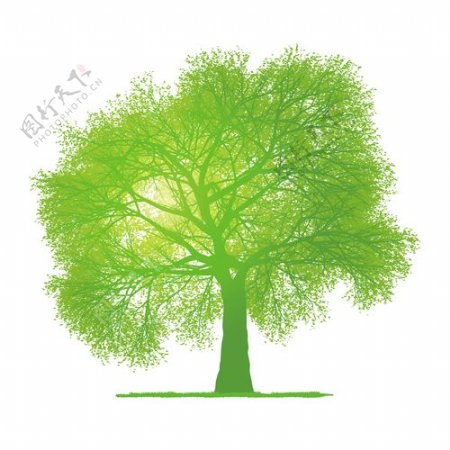 创意绿色树设计矢量图02