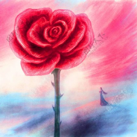 油画玫瑰梦图片