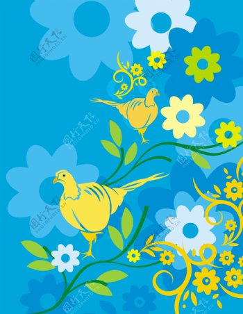 动物鸟类色彩五彩斑斓黄色免费素材