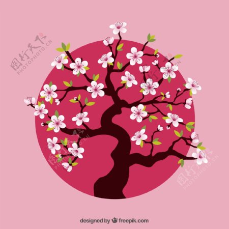 盛开的粉色樱花树
