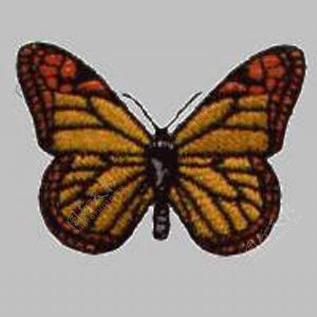 绣花动物昆虫蝴蝶色彩免费素材