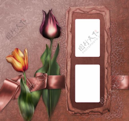 郁金香花朵相框背景图片