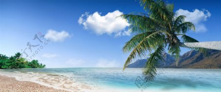 蓝天白云椰子海滩图片