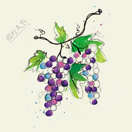 印花矢量图水果葡萄色彩紫色免费素材