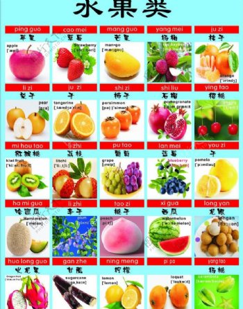水果教育图图片