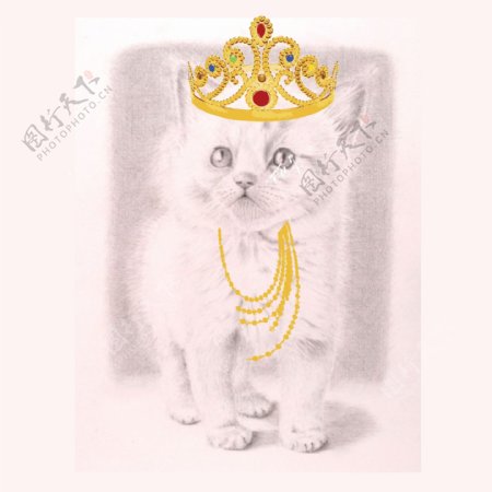 印花矢量图动物猫生活元素皇冠免费素材