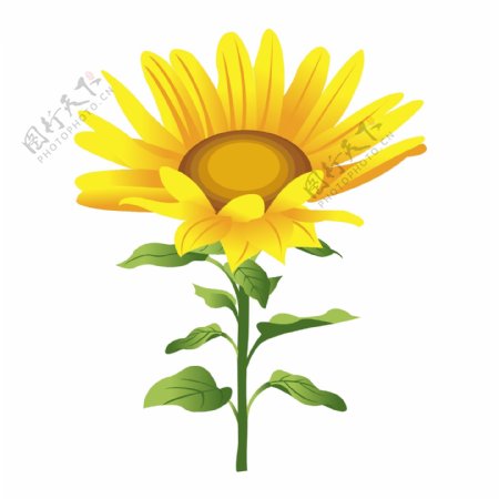 矢量图植物写意花卉花朵向日葵免费素材