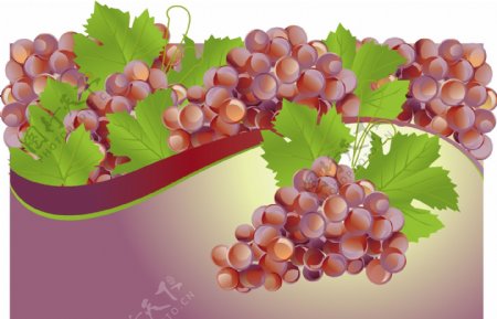 葡萄酒题材水果矢量素材