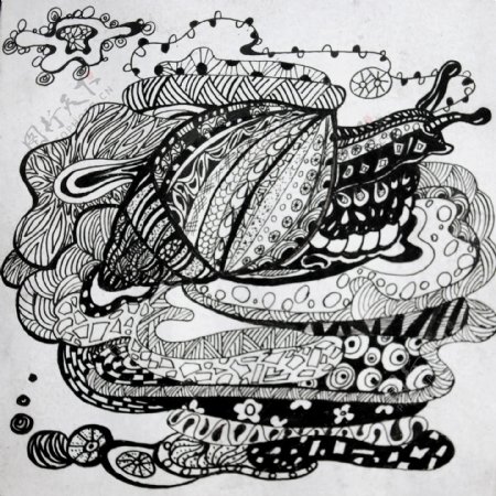 插画蜗牛