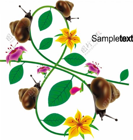 蜗牛花朵8字图形