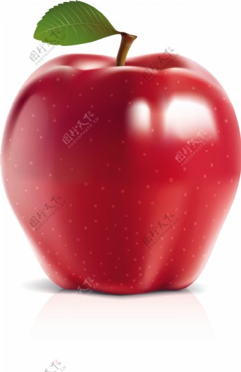 绿色的苹果红苹果矢量素材