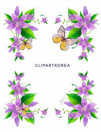 韩国的花边花与蝴蝶矢量素材