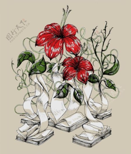 位图优雅植物红花色彩白色免费素材