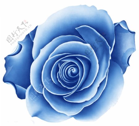 位图优雅植物花卉色彩蓝色水彩免费素材