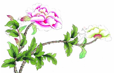 位图植物花卉优雅植物艺术效果免费素材