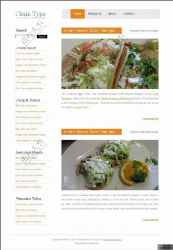 美食沙拉BLOG网页模板