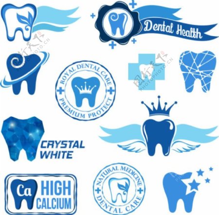 牙齿健康标签