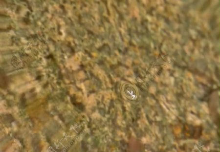 水滴水泡视频素材图片