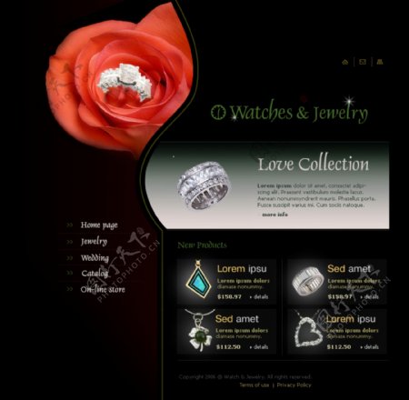 精美的欧美珠宝网页设计模板三图片