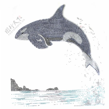 烫钻动物海豚生活元素海水免费素材