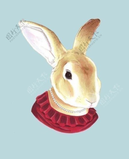 位图插画动物兔子色彩免费素材