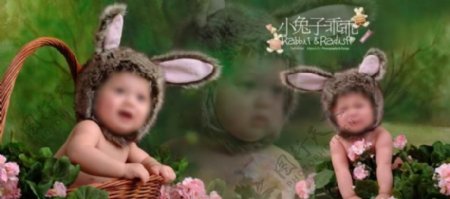 小兔子宝宝摄影画册图片