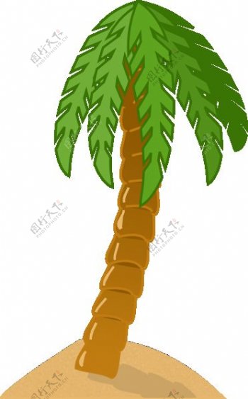 棕榈树的剪辑艺术