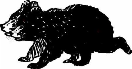 黑熊幼崽夹艺术