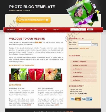 摄影博客CSS网页模板