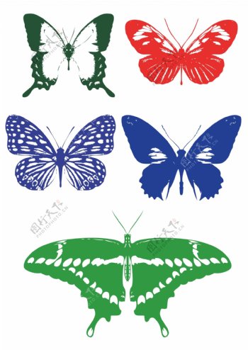 蝴蝶矢量素材图片