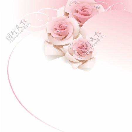 粉色玫瑰水珠水滴婚庆背景图片