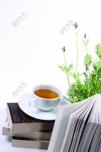 植物书茶图片