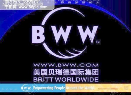 BWW标志