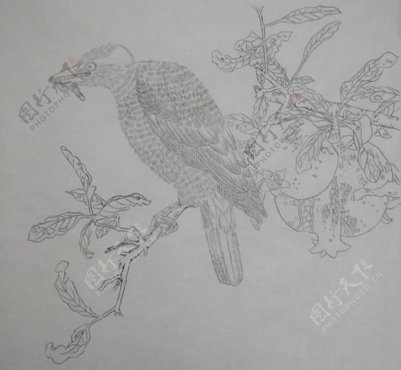 雕刻白描素材