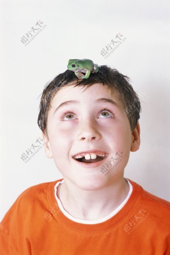 可爱青蛙蛙类动物昆虫人与动物动物世界