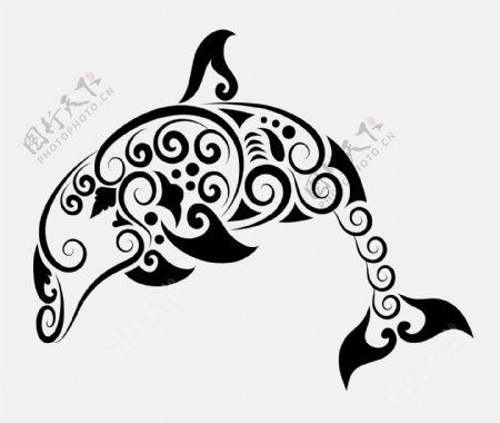 海豚黑白花纹