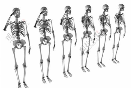 骨骼骷髅人体图片