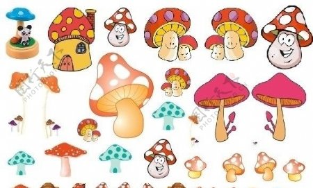 蘑菇部分位图图片
