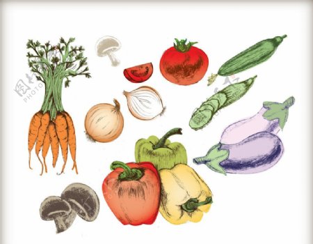 手绘淡彩蔬菜图片
